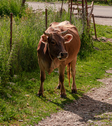 Similar image 21556594