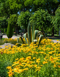 Similar image 21556595