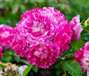 Similar image 21556597