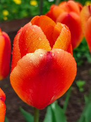 Similar image 21556600