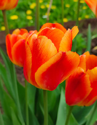 Similar image 21556601