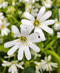 Similar image 21556602