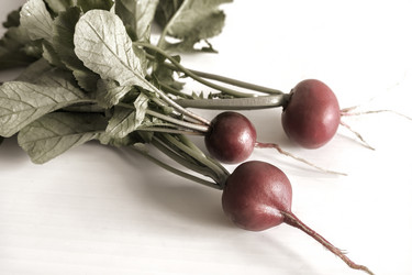 Similar image 21561902