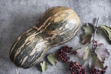 Similar image 21561906