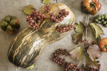 Similar image 21561907