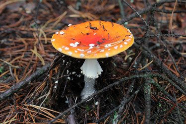 Similar image 21628720