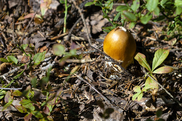 Similar image 21557660