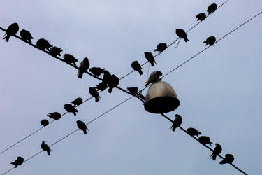 Similar image 21557664