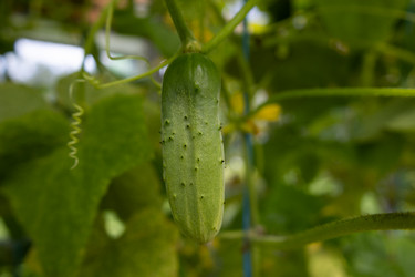 Similar image 21557665