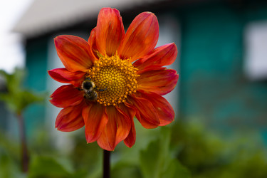 Similar image 21557666