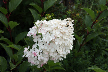 Similar image 21557668