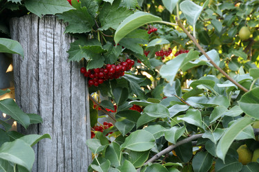 Similar image 21557671