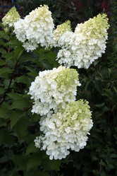 Similar image 21557672