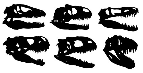 Similar image 21626523