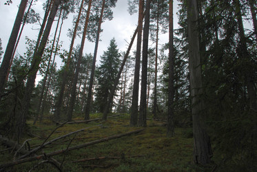 Similar image 21561083