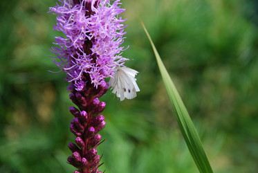 Similar image 21561084