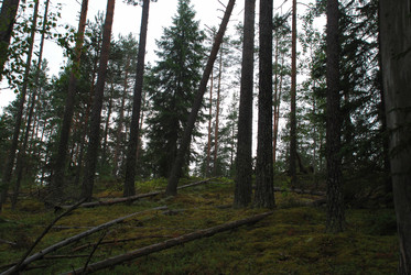 Similar image 21561085