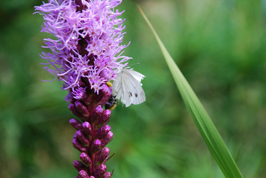 Similar image 21561086