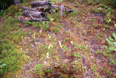 Similar image 21561087