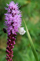 Similar image 21561088