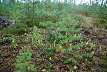 Similar image 21561089