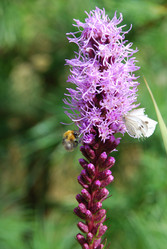 Similar image 21561090