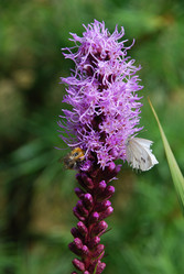 Similar image 21561092