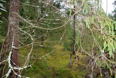 Similar image 21561093