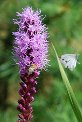 Similar image 21561094