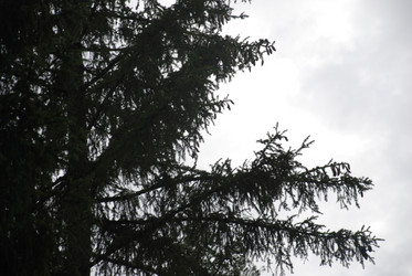 Similar image 21561095