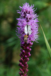 Similar image 21561096