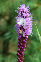 Similar image 21561098