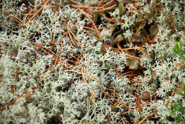 Similar image 21561099