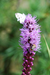 Similar image 21561100