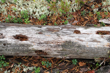 Similar image 21561101