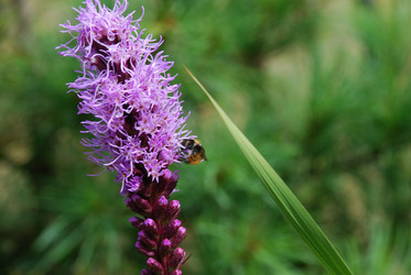 Similar image 21561102