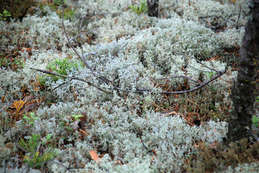 Similar image 21561103