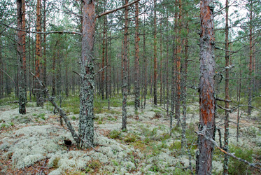 Similar image 21561105