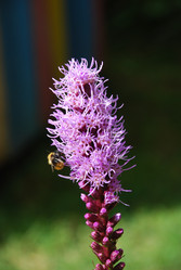 Similar image 21561106