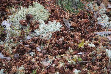 Similar image 21561107