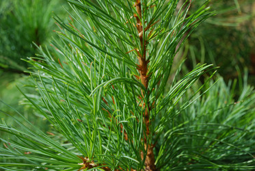 Similar image 21561108