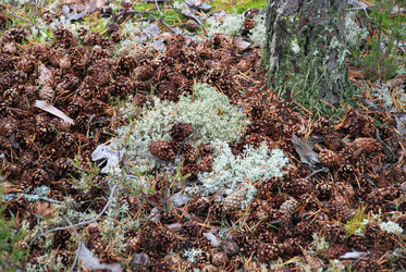 Similar image 21561109