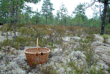 Similar image 21561111