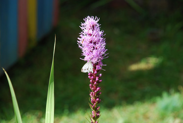 Similar image 21561112