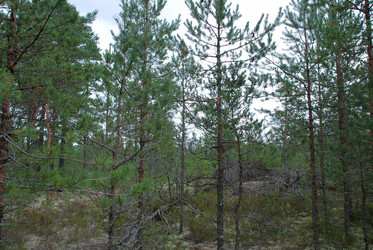 Similar image 21561113