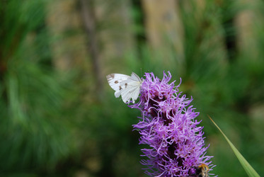 Similar image 21561114