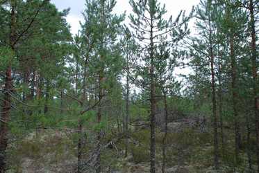 Similar image 21561115