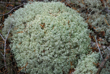 Similar image 21561117