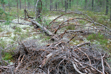 Similar image 21561119