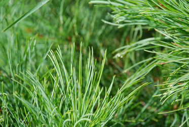 Similar image 21561120